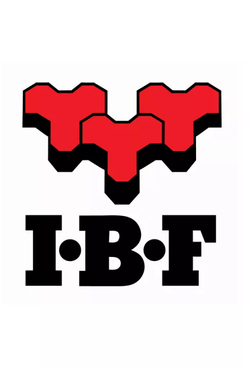 Nowa dachówka od IBF