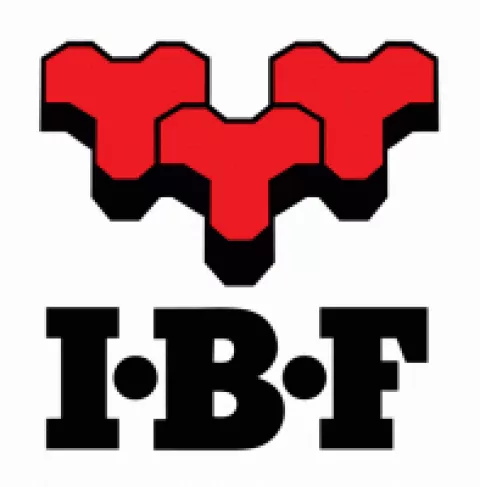 Systemy kominkowe IBF